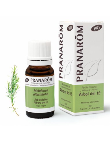 PRANAROM ACEITE ESENCIAL ARBOL DEL TE 1 ENVASE 10 ML