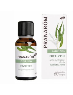 PRANAROM DIFUSION EUCALYPUR