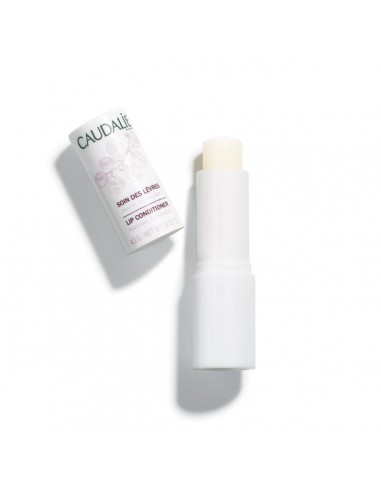 CAUDALIE STICK DE LABIOS