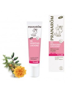 PRANAROM PRANABB GEL MORATONES-CHICHONES